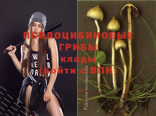 МДПВ Михайловск