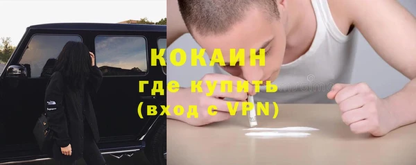 шишки Наволоки