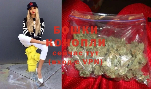 шишки Наволоки
