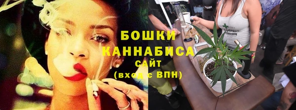 шишки Наволоки