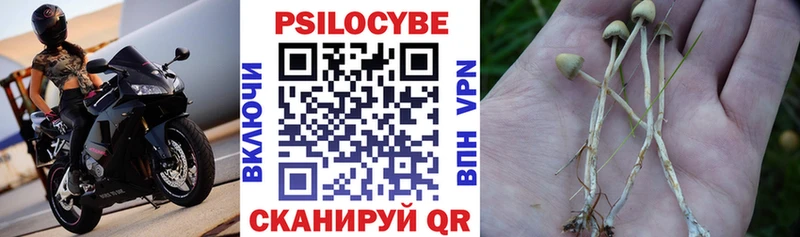 дарк нет клад  Павловский Посад  Галлюциногенные грибы прущие грибы  наркотики 